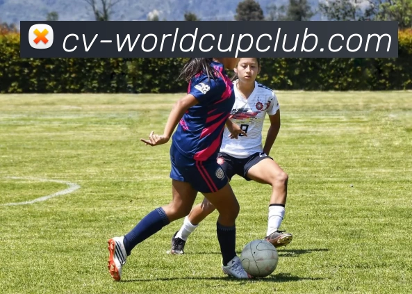 世界杯官方线上品牌故事